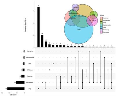 Integration of Interleukin-6 Improves the Diagnostic Precision of Metagenomic Next-Generation Sequencing for Infection in Immunocompromised Children